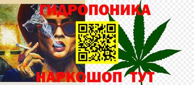 прущая мука Кингисепп
