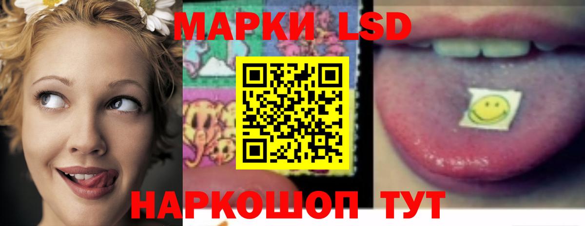 КОКАИН Заводоуковск