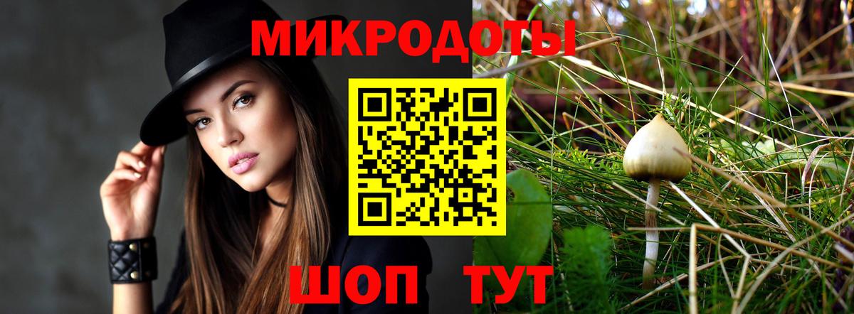 Заводоуковск  Галлюциногенные грибы MAGIC MUSHROOMS  Вход с VPN 
